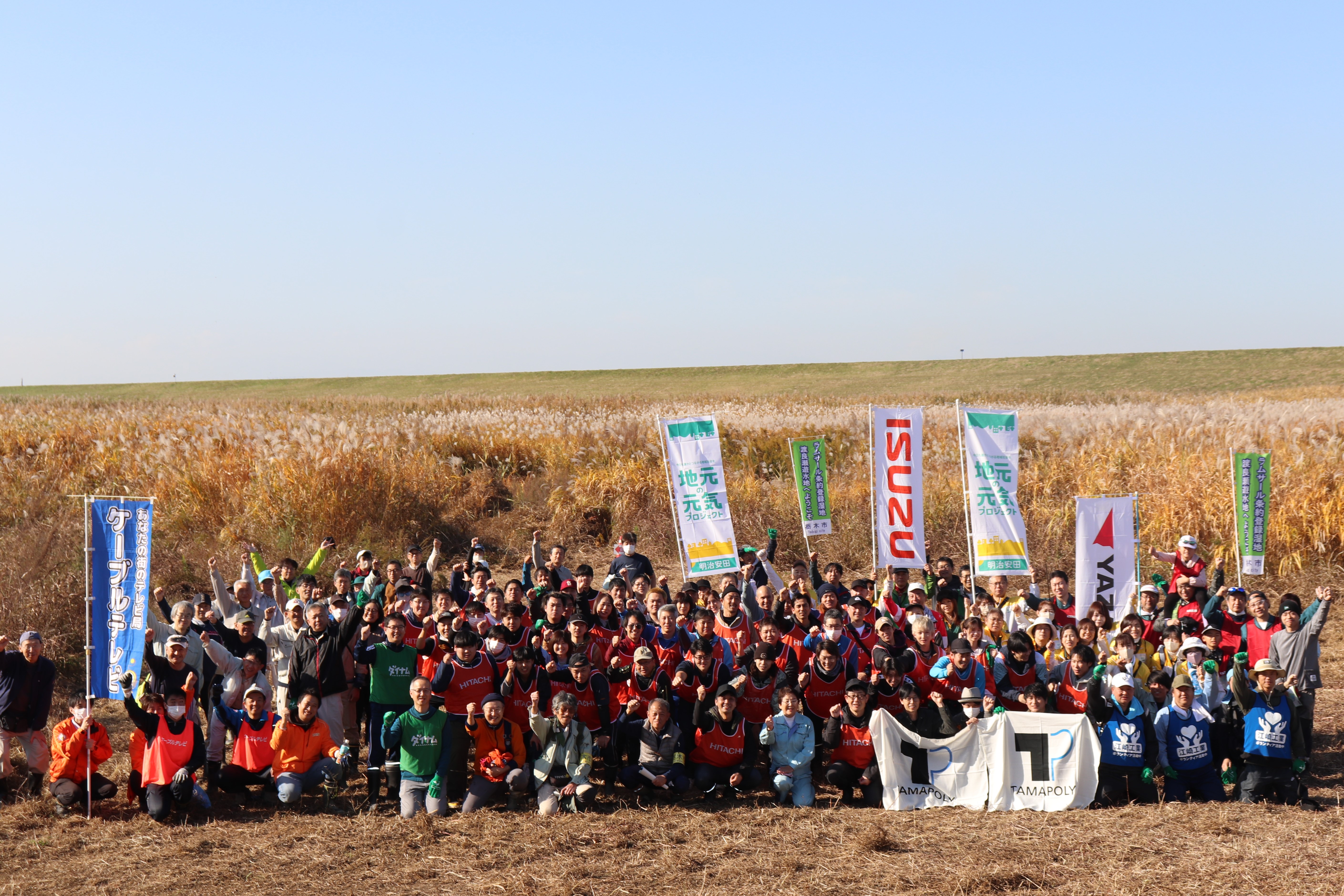 終了しました】11月15日 渡良瀬遊水地外来植物除去活動 - 栃木市