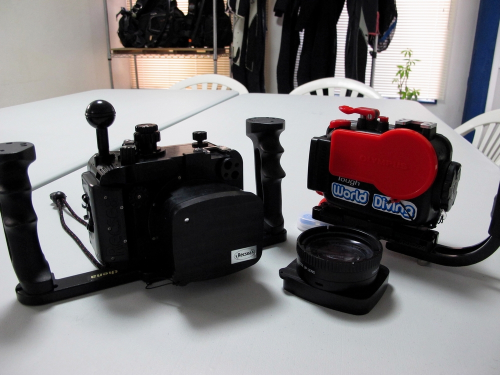 撮影者の水中カメラと水中撮影機材 | 水中写真撮影 空 良太郎
