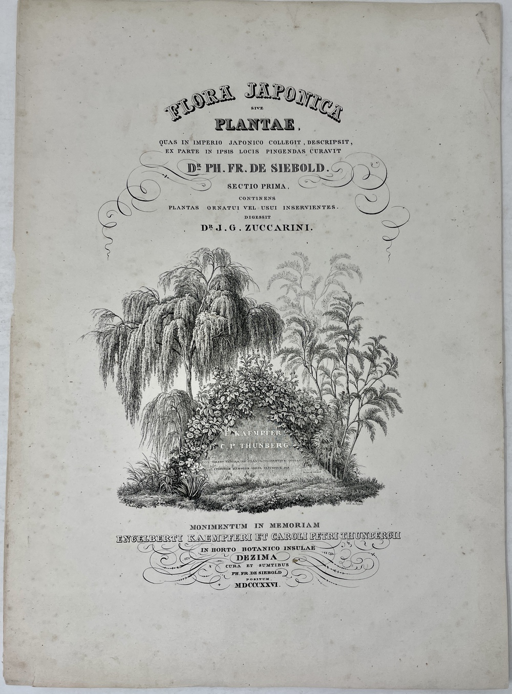 日本植物誌』 - 青羽古書店 AOBANE Antiquarian Bookshop - 洋書・美術