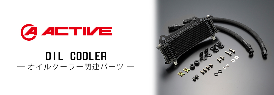 鉄鍔 鐔 (応仁 勝軍草象嵌隅切木瓜大透) 室町〜桃山時代 佐藤寒山先生