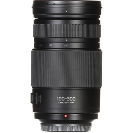 Panasonic LUMIX G Vario 100-300mm f/4.0-5.6 II Lens for Micro Four