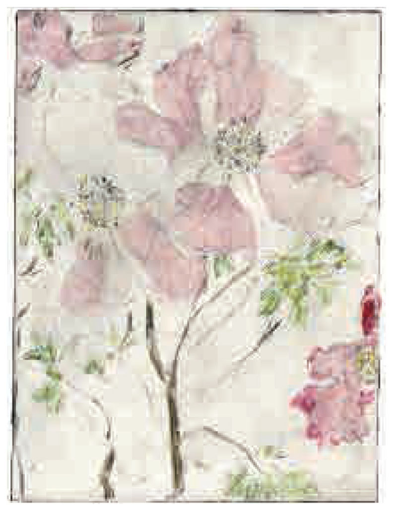 ジョアン・アイザック 絵画 (版画/ジクレー) June Peonies 7939|アート