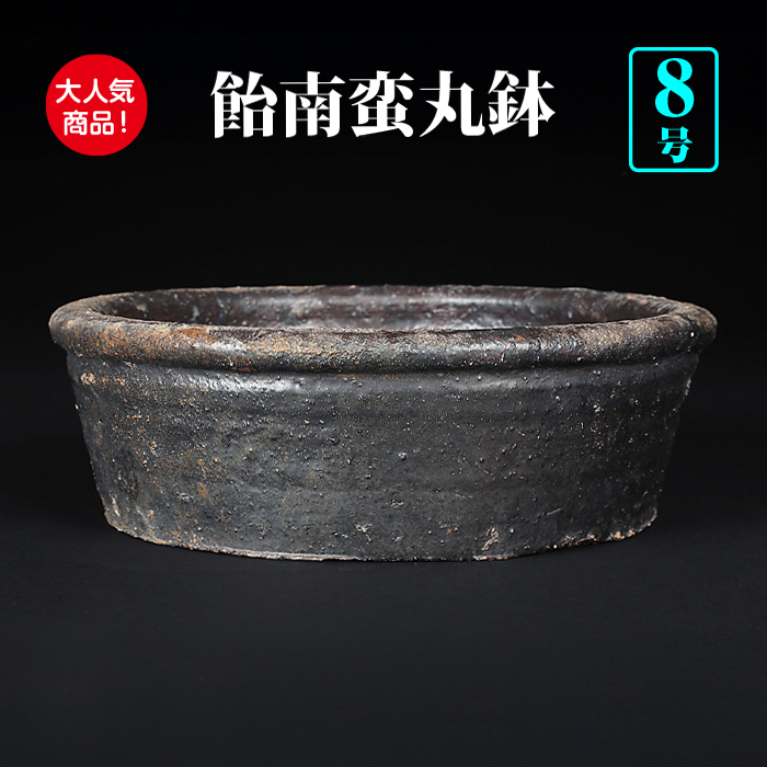 現代中国鉢 | 盆栽、盆栽書籍、盆栽鉢の通販│近代出版