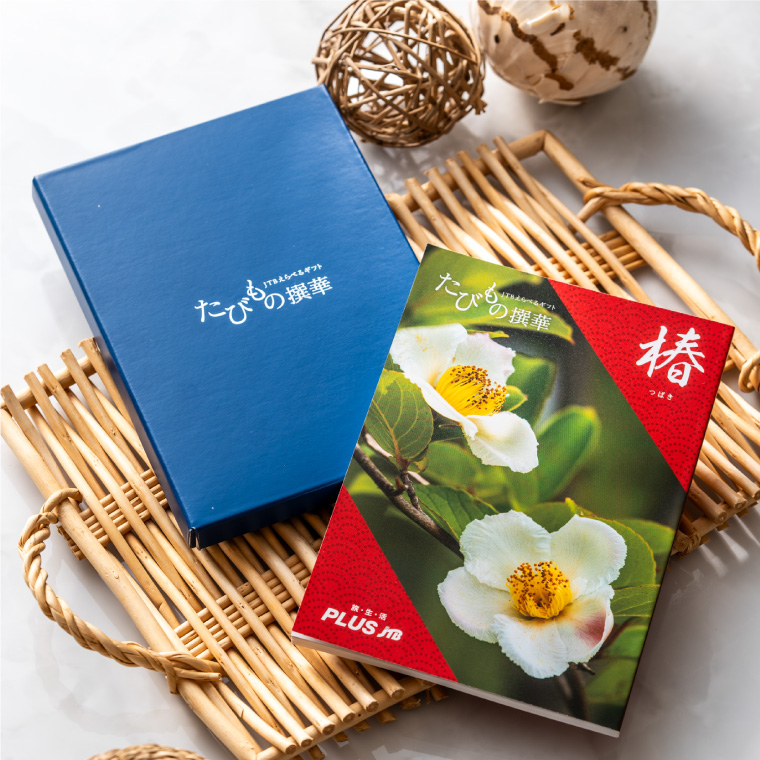 旅 体験 グルメ 雑貨 )カタログギフト JTB たびもの撰華 椿(つばき