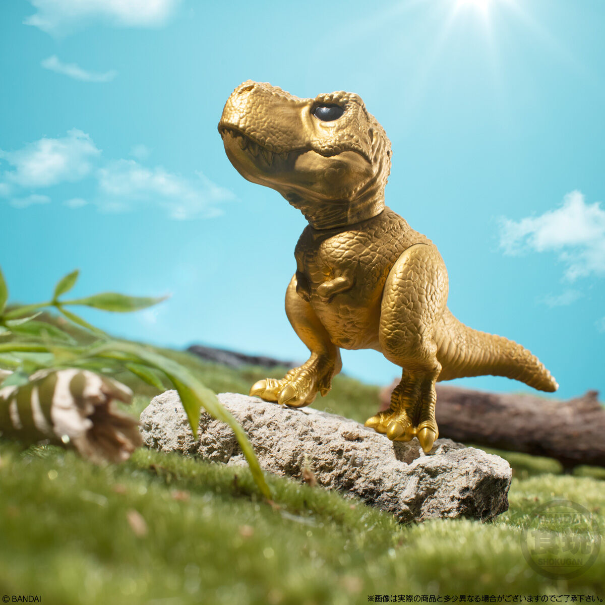 最強！恐竜フレンズ｜発売日：2024年8月12日｜バンダイ キャンディ公式
