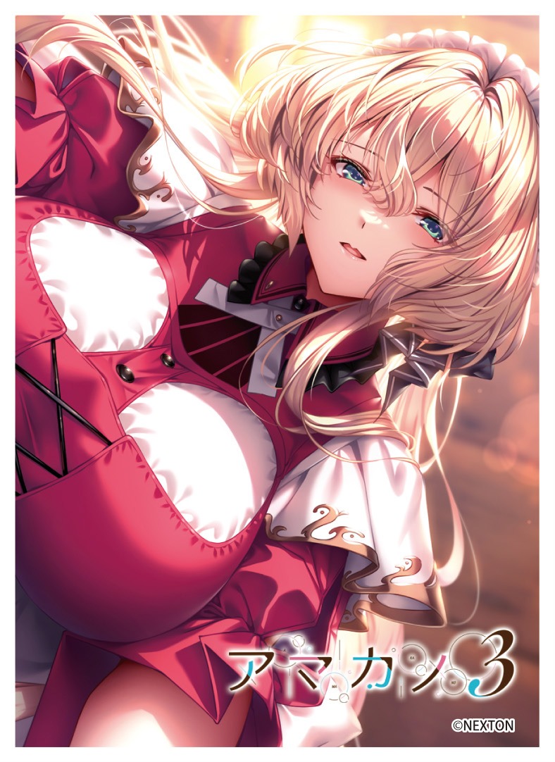 スリーブ】きゃらスリーブコレクションMT2284 ネクストン アマカノ3