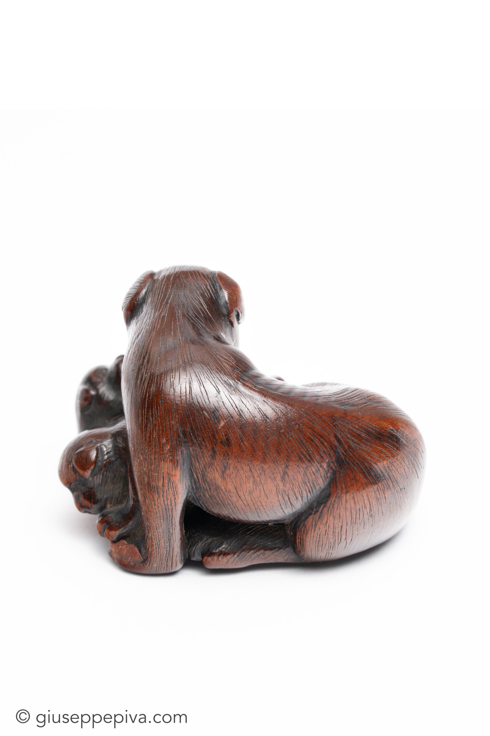 Wood netsuke representing a dog with its puppy | GIUSEPPE PIVA