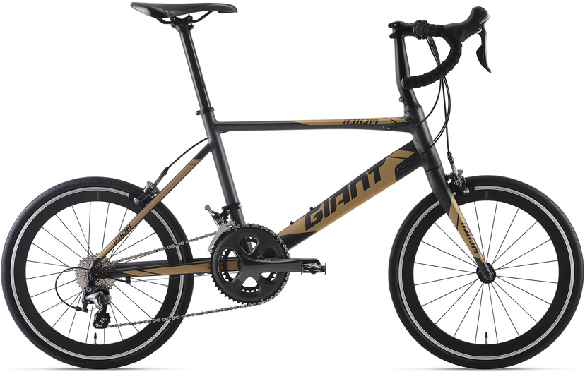 2020 GIANT Bicycles | IDIOM 1