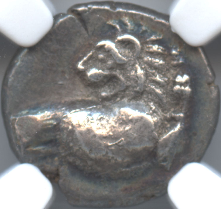 ダルマコインショップ / 古代ギリシャ トラキア・ケルソネソス