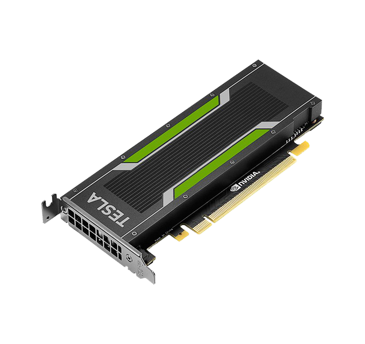 NVIDIA Tesla P4 - 株式会社 エルザ ジャパン