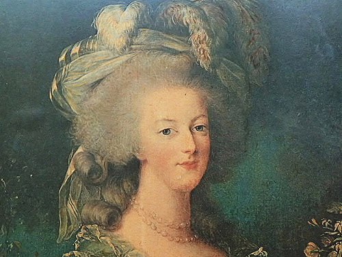 華麗 大きなマリーアントワネット額装 - 薔薇と天使のアンティーク