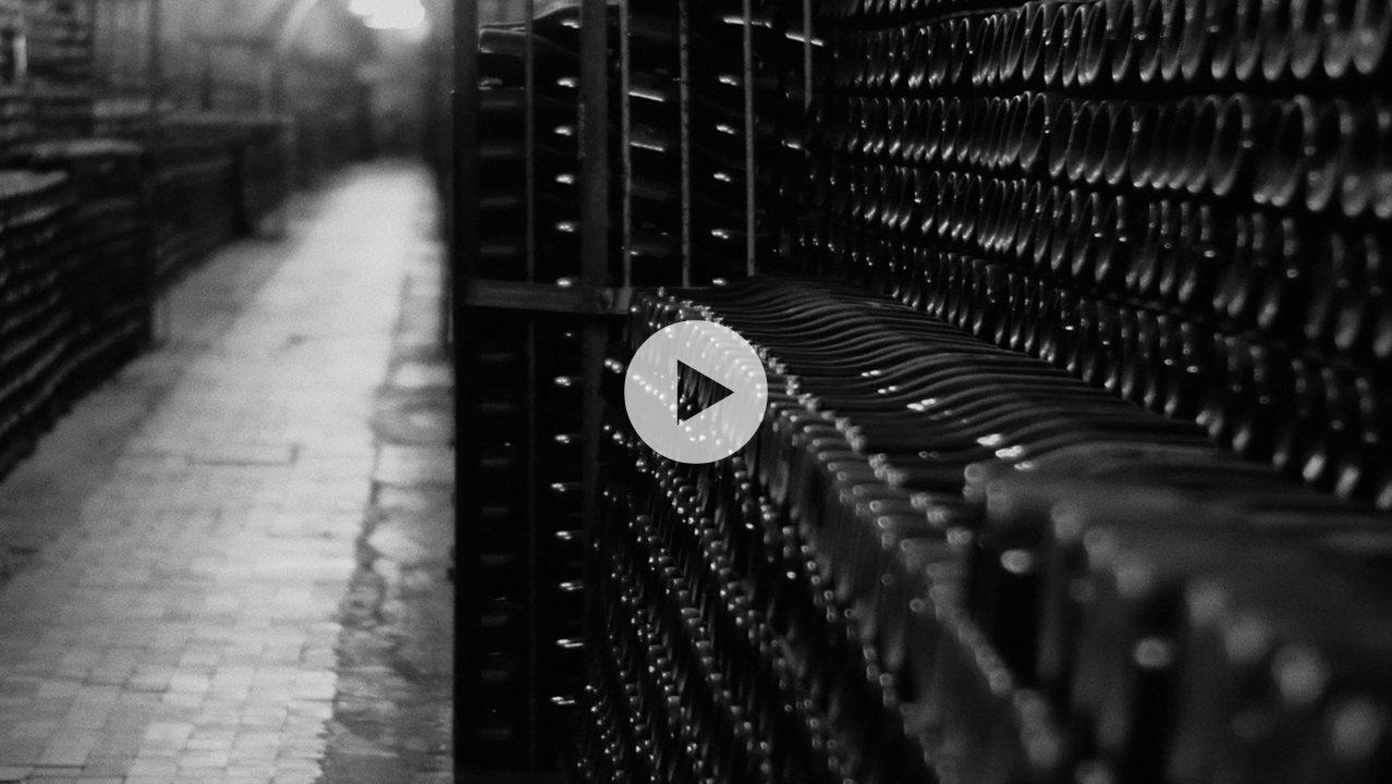 ワインのプロ御用達】日本製ワインセラー ロングフレッシュ｜フォル