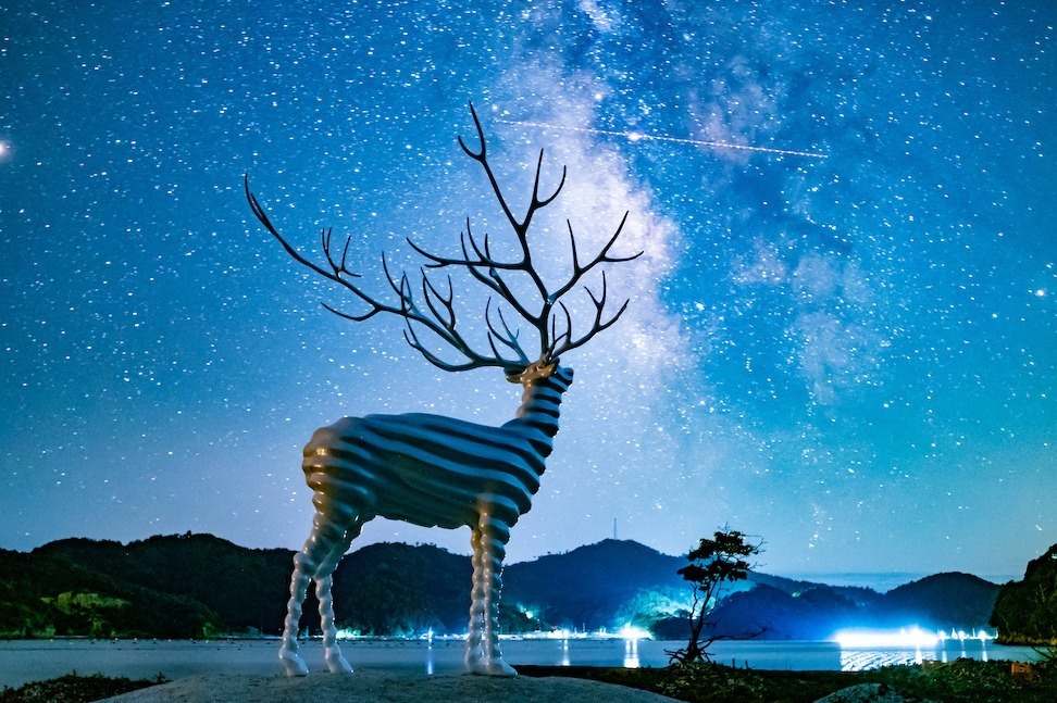 明治神宮で芸術・文化のイベント「神宮の杜芸術祝祭」名和晃平による