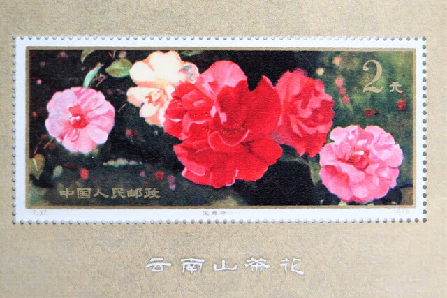 中国切手】雲南のツバキの種類や特徴、小型シートの市場価値や買取