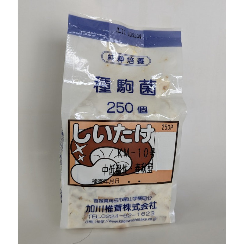 キノコ予約】 椎茸種駒 KM－10号 中低温性・春秋型 250P