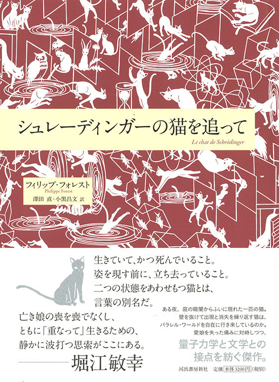 シュレーディンガーの猫を追って :フィリップ・フォレスト,澤田 直
