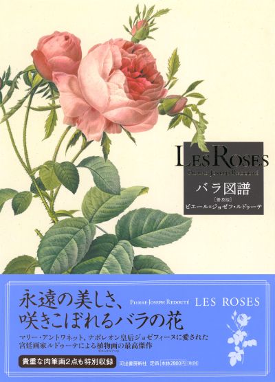 Les Roses バラ図譜 【普及版】 :ピエール=ジョゼフ