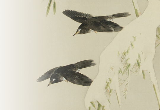 名に込められた悪意：滝と岩燕 – 加島美術