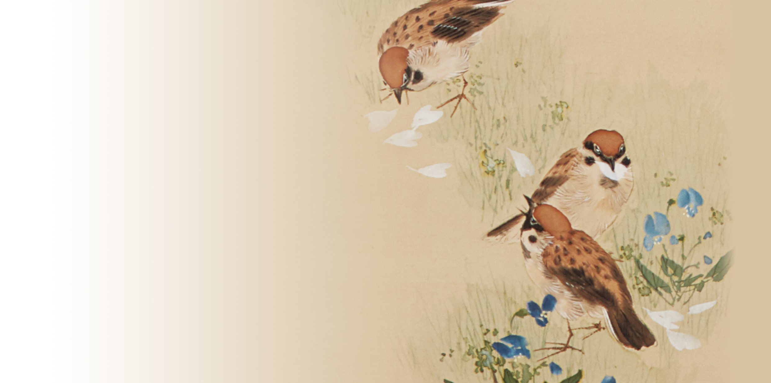 日本画に最も描かれた鳥：花鳥図 – 加島美術