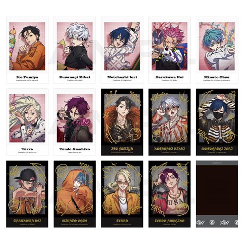 トレーディングチェキ風カード vol.2(全14種) カリスマ KING RECORDS