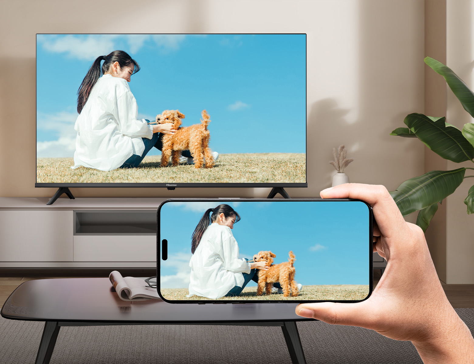 A4N | ハイセンスジャパン株式会社