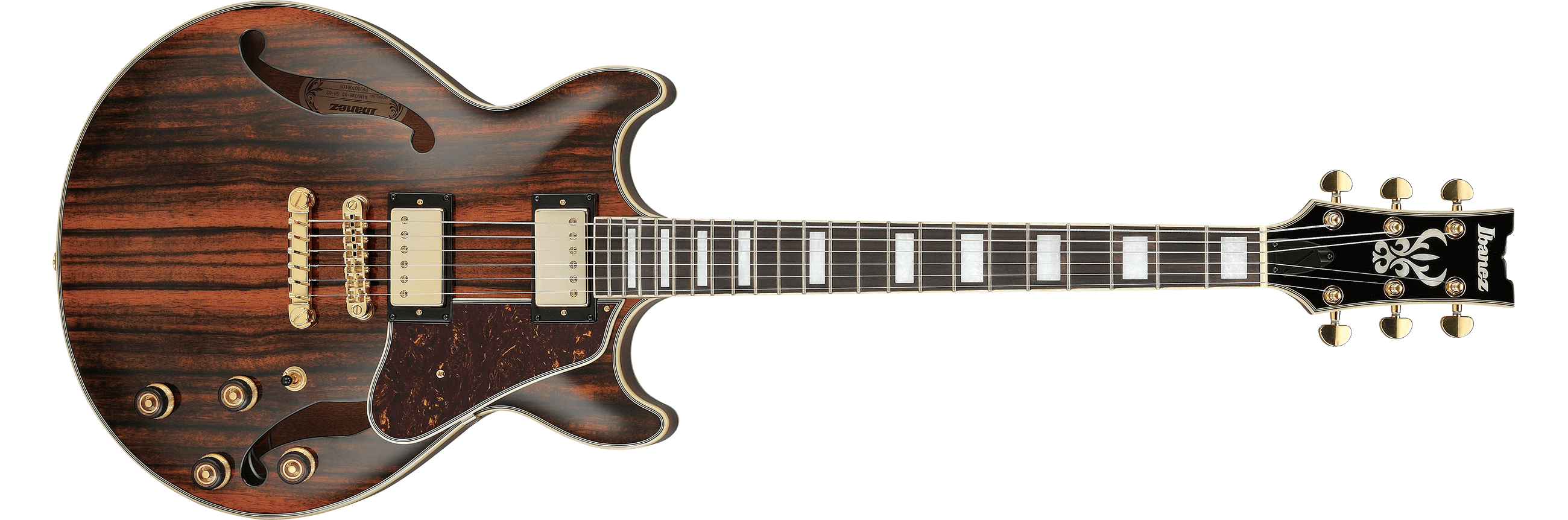 AM93ME | AM | HOLLOW BODIES | PRODUCTS | Ibanez guitars