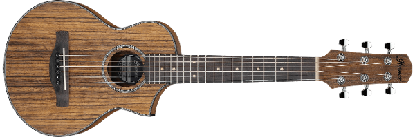 EWP14WB | EWP | ACOUSTIC GUITARS | PRODUCTS | Ibanez guitars