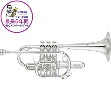 CAROL BRASS キャロルブラス / N4000 GB 【C ポケット トランペット