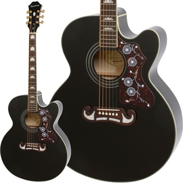 Epiphone 【新楽器応援セール】【数量限定エピフォン・アクセサリー