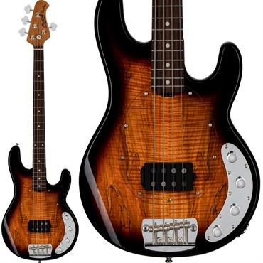 Sterling by MUSICMAN Ray34SM (3-Tone Sunburst/Rosewood) ｜イケベ