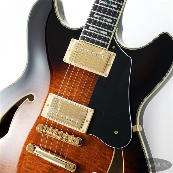 Ibanez JSM100-VT [John Scofield Signature Model] ｜イケベ楽器店