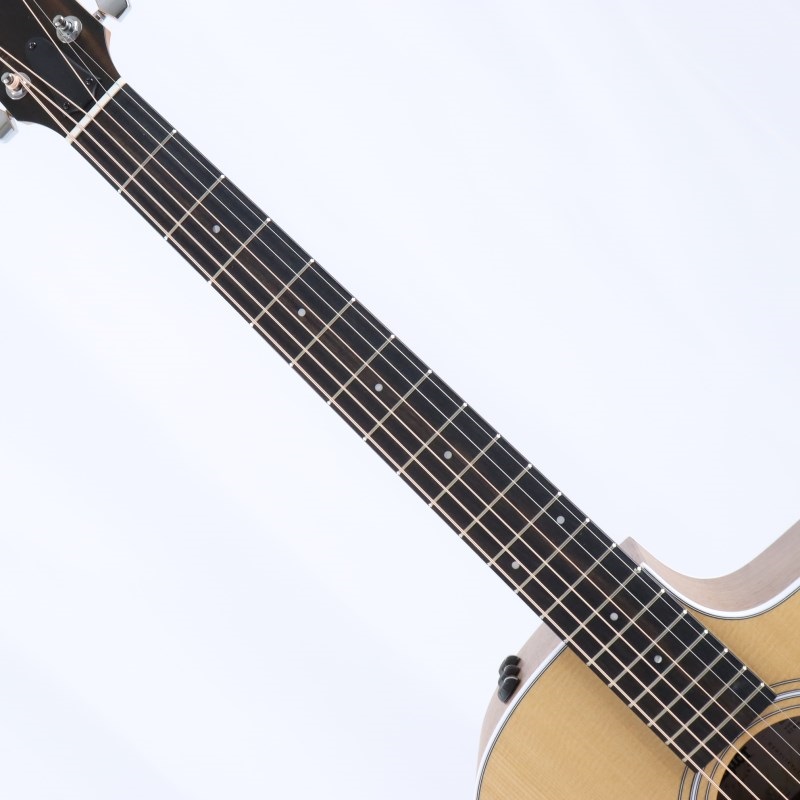 TAYLOR 214ce Walnut テイラー ｜イケベ楽器店オンラインストア