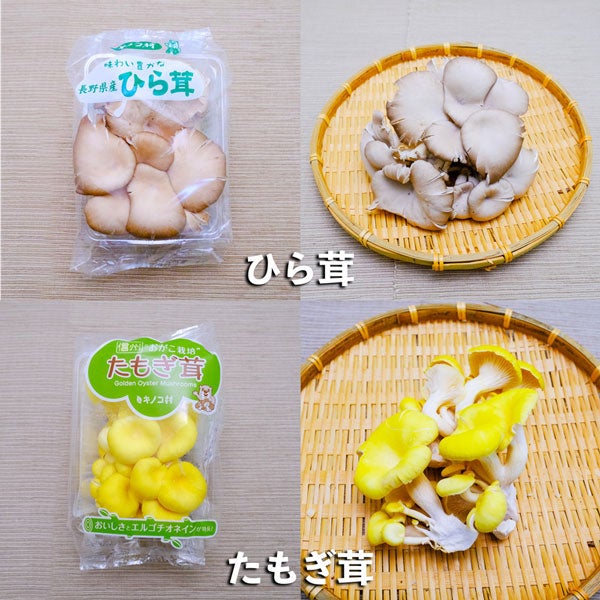 ファーム大澤屋 新鮮生きのこセット 6種類(小)各2パック: 全農長野