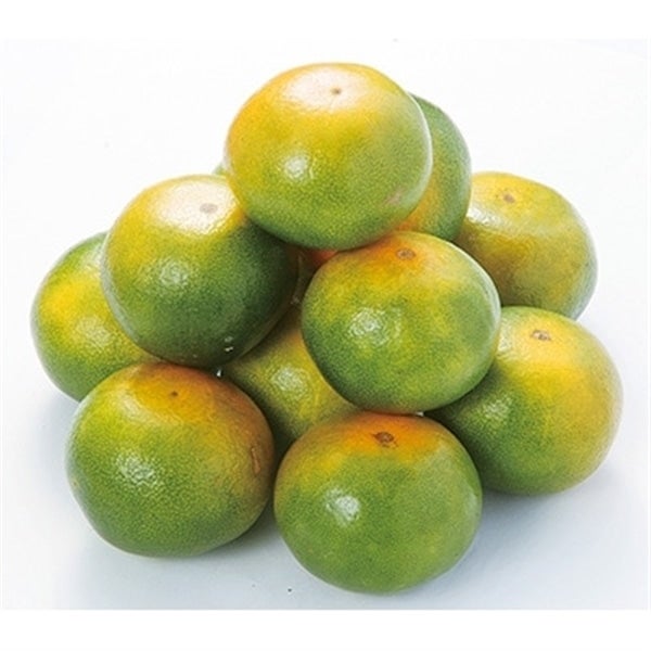 戎農園】和歌山県下津の極早生みかんYN26 約5kg 【サイズ手選別】(なが