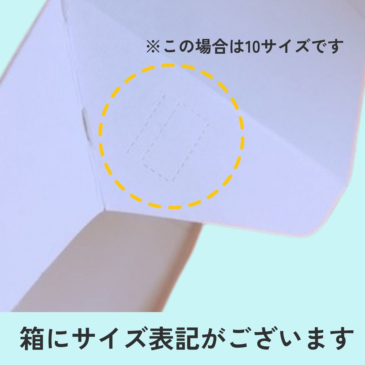 G箱》C－01－G（白無地横入れ手さげなし）2G/4G - オクト