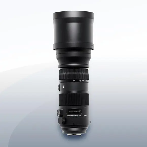 SIGMA 150-600mm F5-6.3 DG OS HSM (キャノン用)