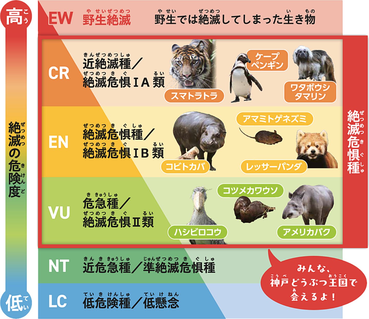地球から動物がいなくなるかもしれないって本当？ | おしごとはくぶつかん