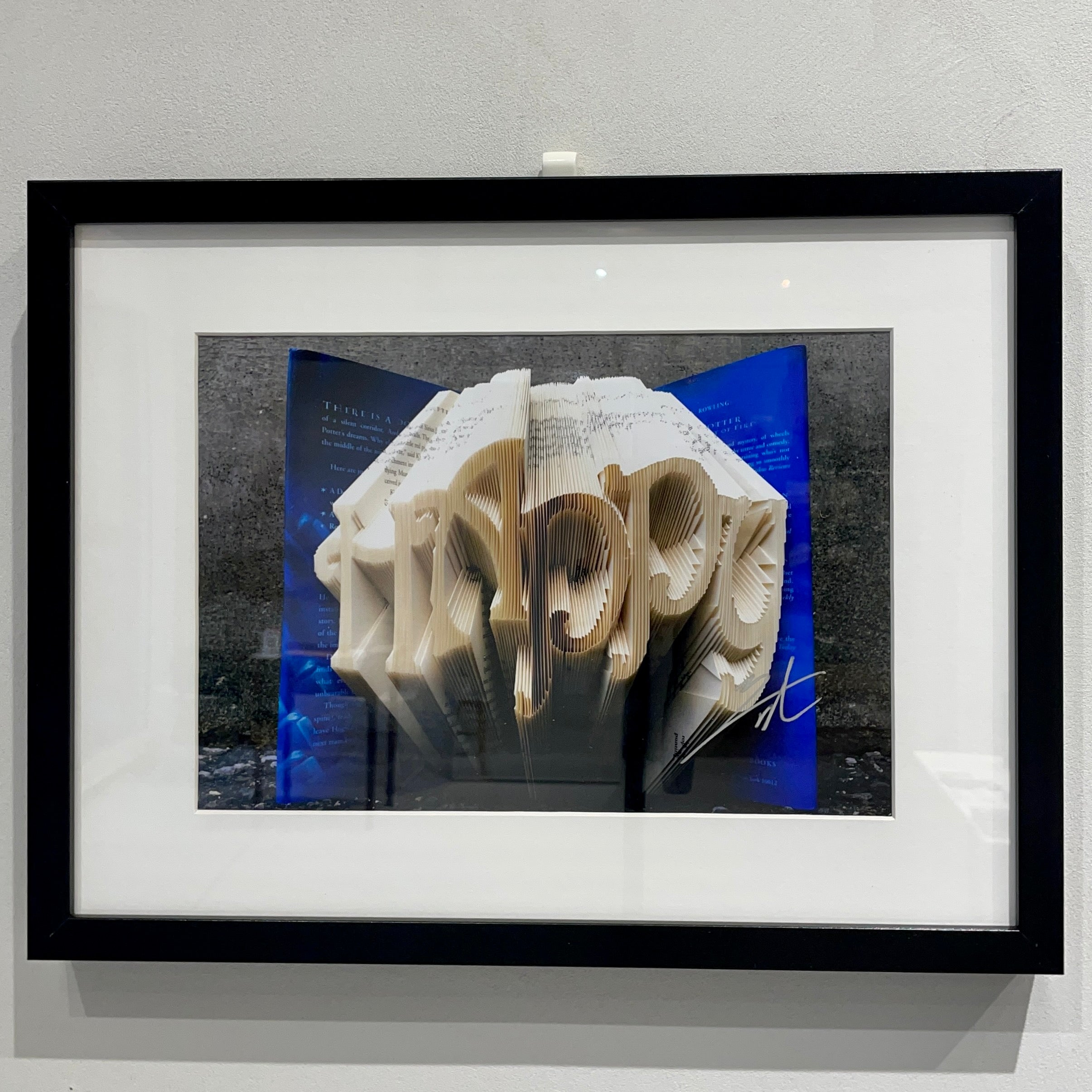 JYOJI SHMAMOTO 写真パネル(サイン入り) JYOJI SHMAMOTO 写真パネル