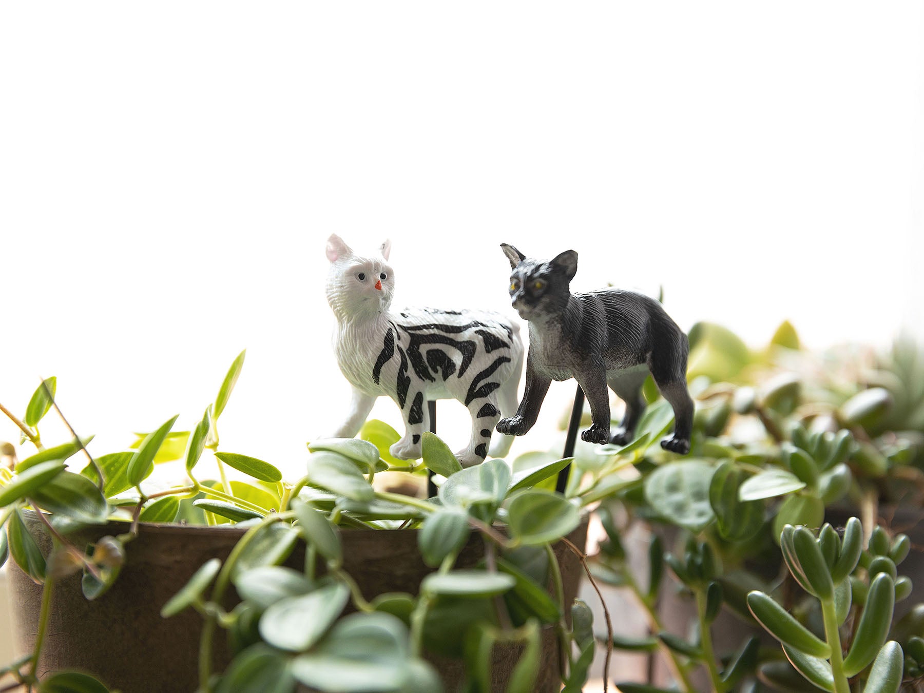 7_2_dc747485-0db0-4bd2-ae04-