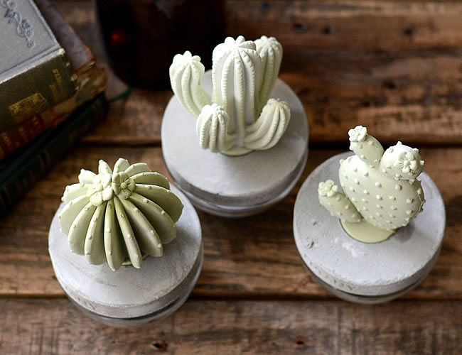 CACTUS フレグランスディフューザー ナチュラルインテリア 生活雑貨の