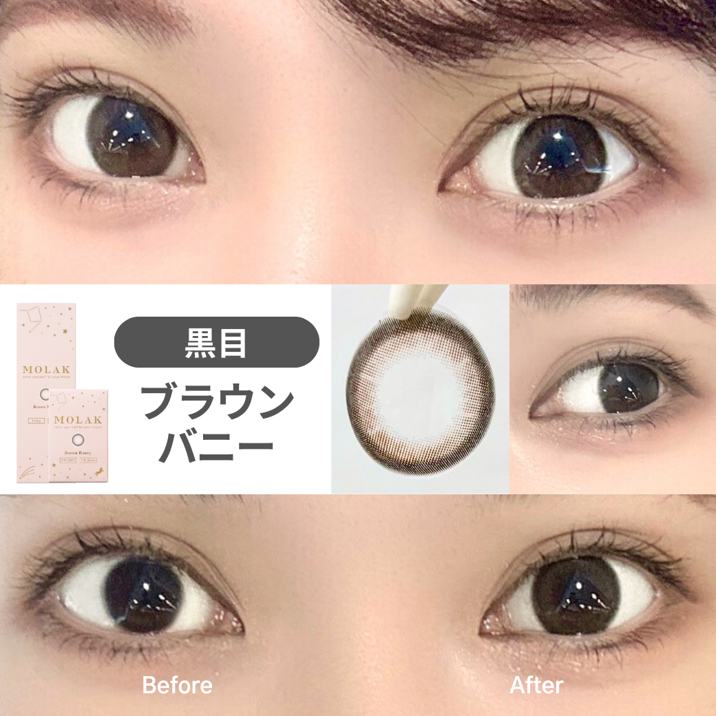 2024年3月発売！宮脇咲良イメモMOLAK（モラク）新色ブラウンバニーの