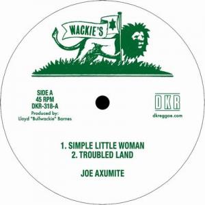 全商品 | LION MUSIC DEN