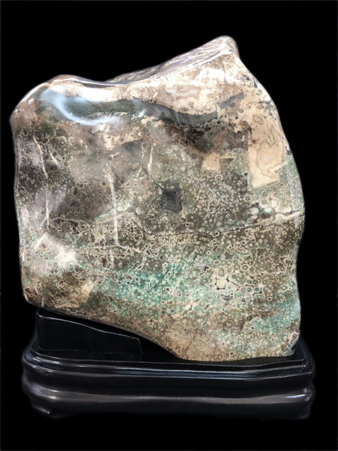 孔雀菊花石 岐阜根尾谷産の孔雀菊花石を販売している増樹です。根尾谷