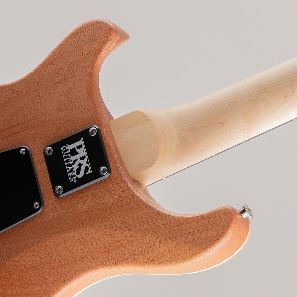 CE24 Satin Custom Configuration Gold Top Metallic Limited Model