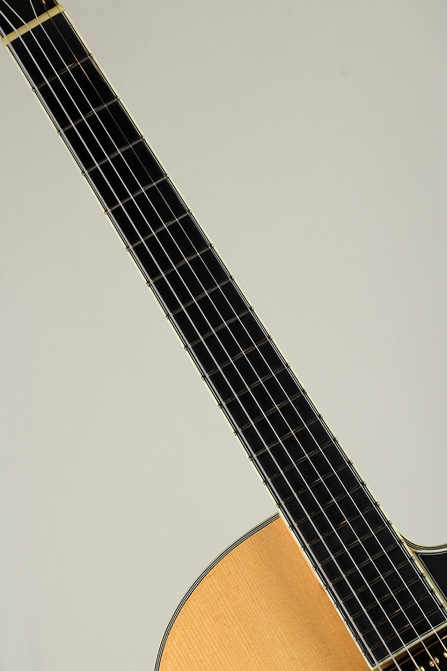 AR810CE-BD 2019: エレキギター｜三木楽器公式通販サイト