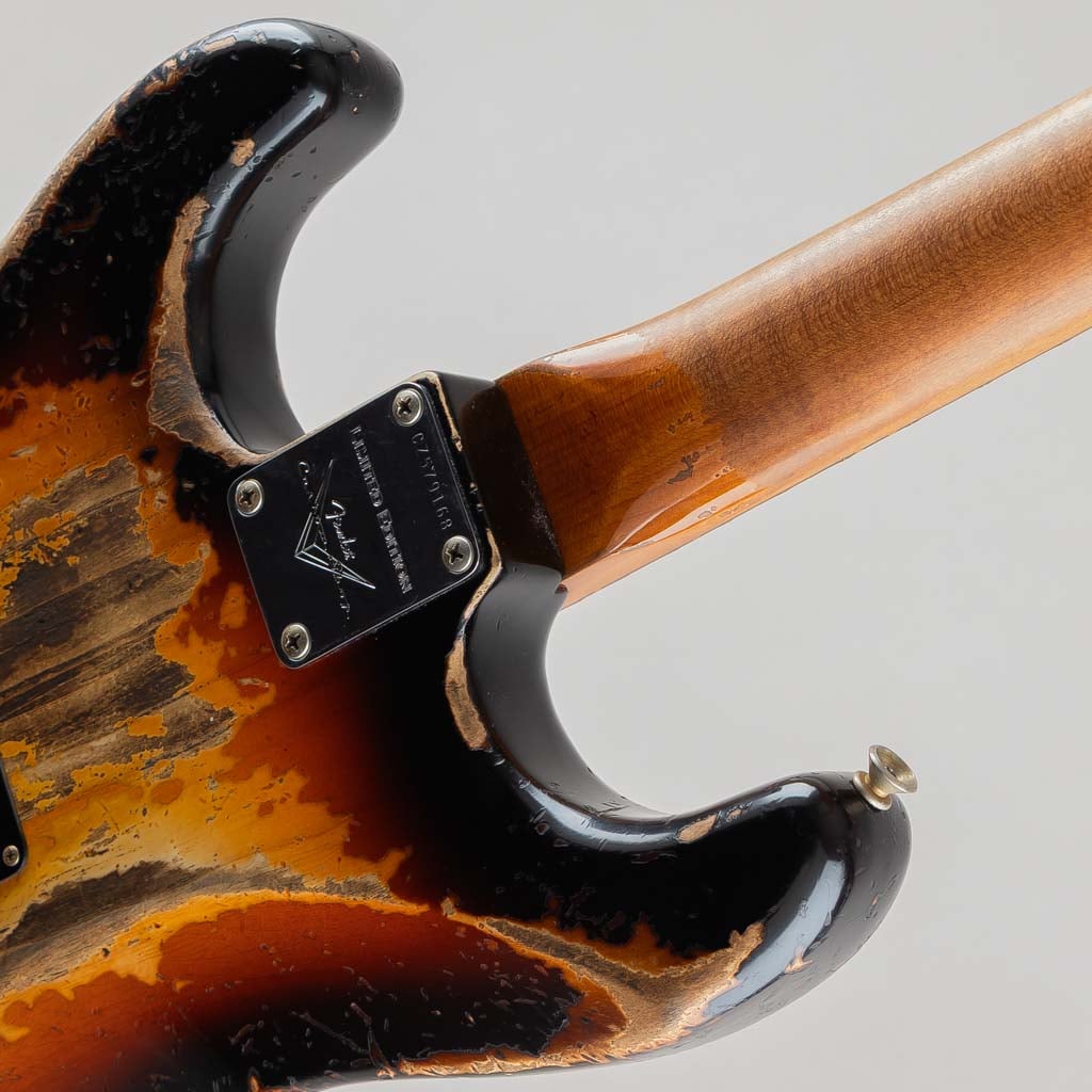 Limited Poblano Stratocaster Super Heavy Relic Super Faded Aged 3