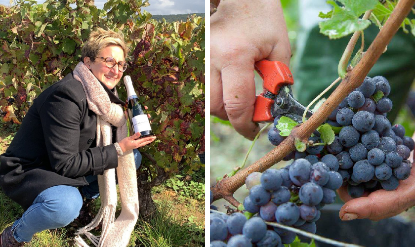 バロン アルベール ジャン ド ラ フォンテーヌの通信販売