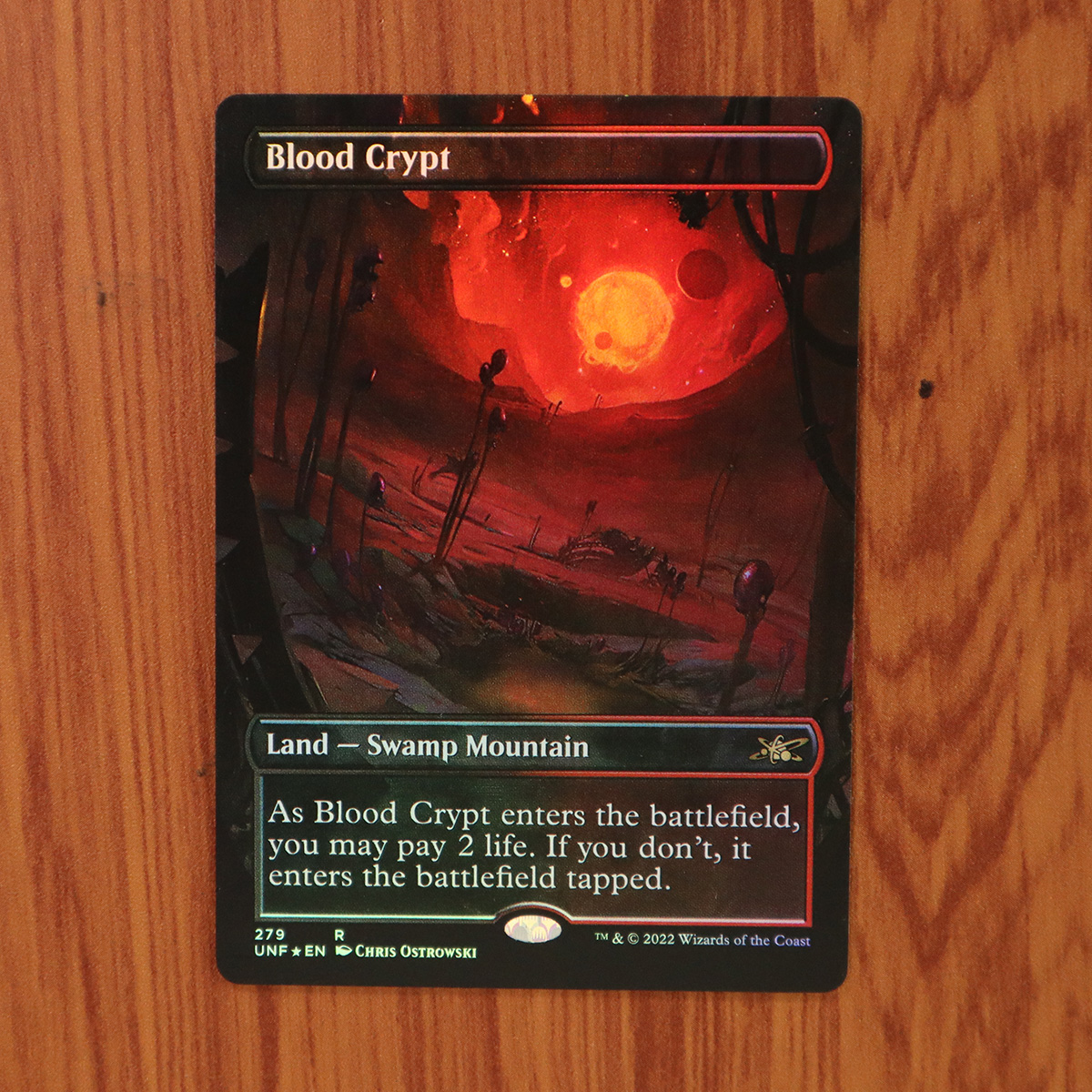 Blood Crypt #279 Unfinity (UNF) foil magic the gathering proxy mtg