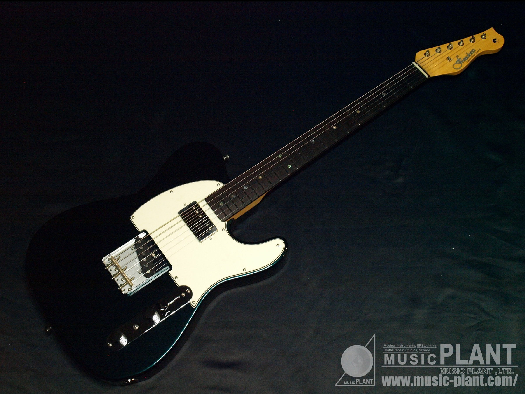 FREEDOM CUSTOM GUITAR RESEARCH RetroSpectiveシリーズ エレキギター