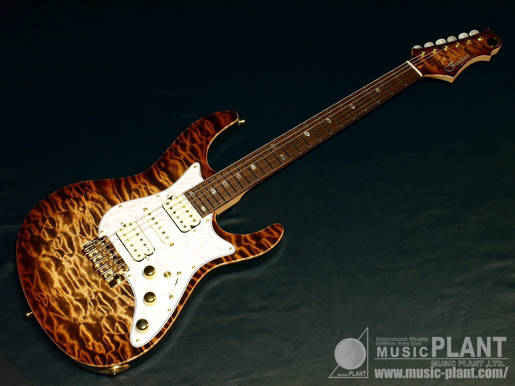 FREEDOM CUSTOM GUITAR RESEARCH Hydraシリーズ エレキギターHydra